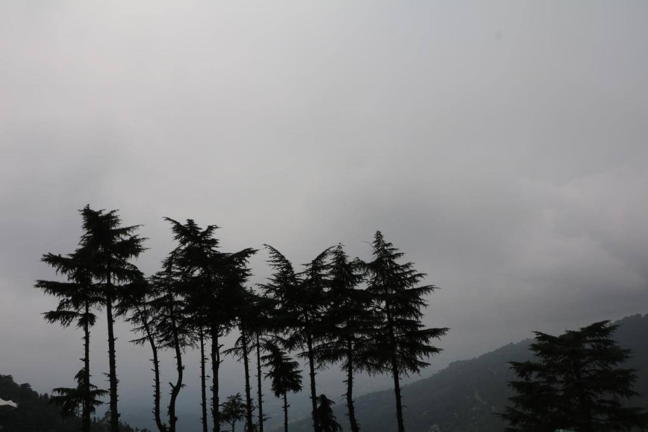 Pema Thang Hotel Kangra Esterno foto