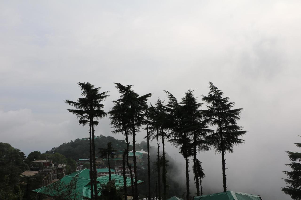 Pema Thang Hotel Kangra Esterno foto